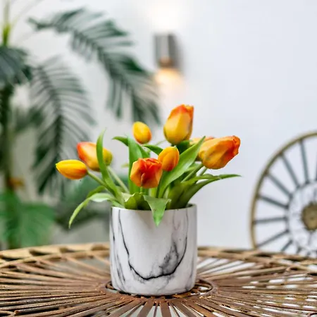 Bei Franka Mit Sauna דירה *