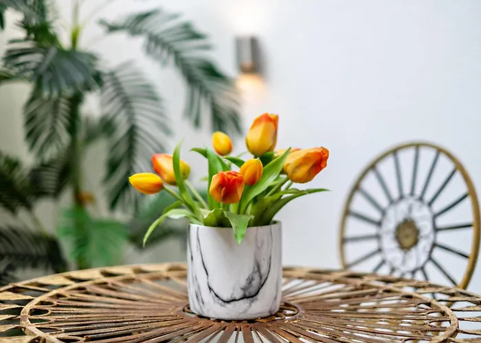 Bei Franka Mit Sauna דירה *