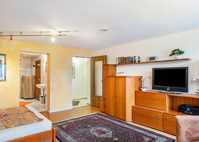 Bei Franka Mit Sauna פרייבורג